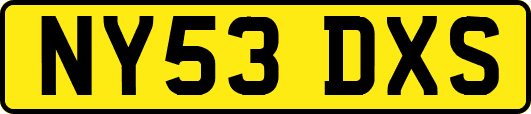 NY53DXS