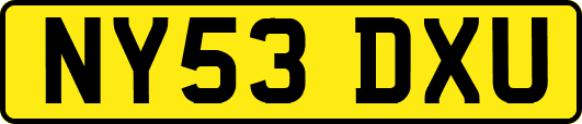 NY53DXU
