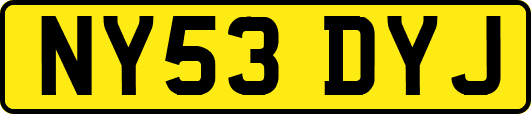 NY53DYJ