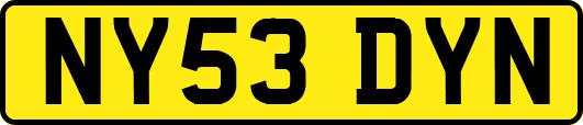 NY53DYN