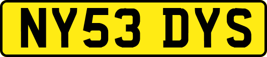 NY53DYS