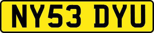 NY53DYU