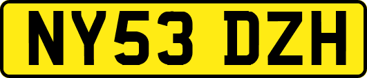 NY53DZH