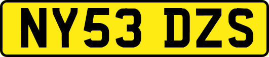 NY53DZS