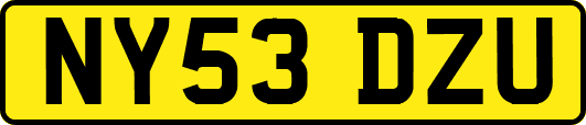 NY53DZU