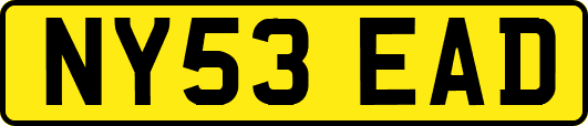 NY53EAD
