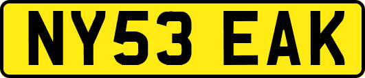 NY53EAK