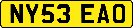 NY53EAO
