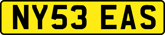 NY53EAS
