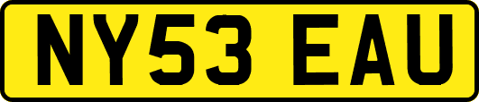 NY53EAU