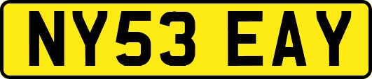 NY53EAY