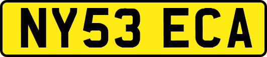 NY53ECA
