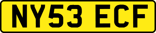 NY53ECF