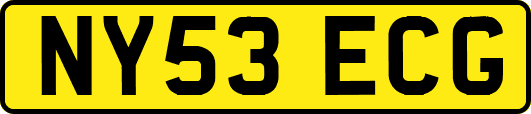 NY53ECG