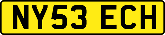 NY53ECH