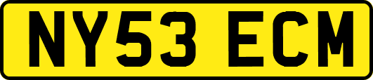 NY53ECM