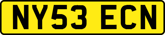 NY53ECN