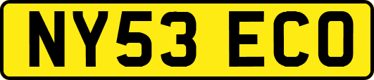 NY53ECO