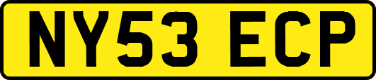 NY53ECP