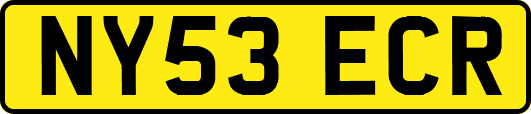 NY53ECR