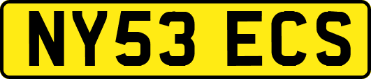 NY53ECS