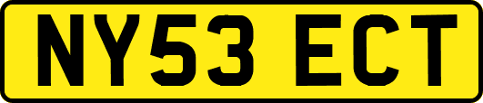 NY53ECT