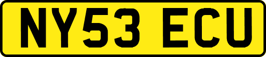 NY53ECU