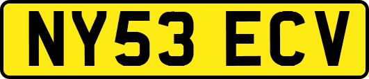 NY53ECV