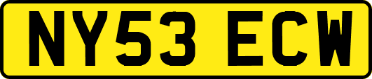NY53ECW