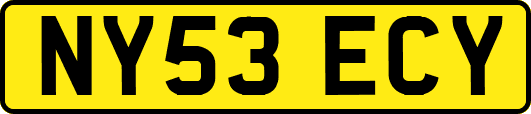 NY53ECY