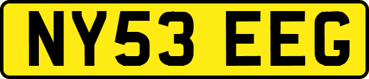 NY53EEG