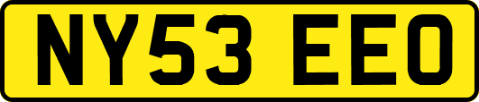 NY53EEO