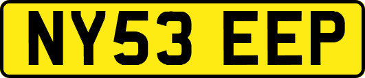 NY53EEP