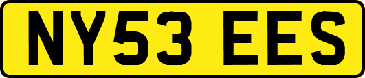 NY53EES