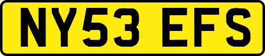 NY53EFS