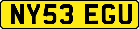 NY53EGU