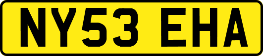 NY53EHA