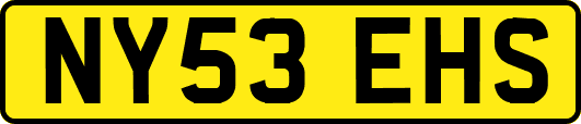 NY53EHS