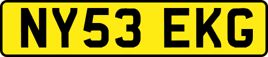 NY53EKG