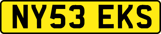 NY53EKS