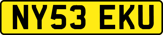 NY53EKU