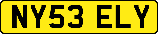 NY53ELY