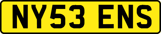 NY53ENS