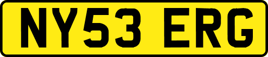 NY53ERG
