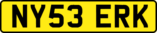 NY53ERK