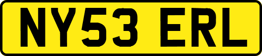 NY53ERL