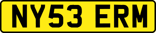 NY53ERM