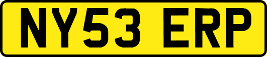 NY53ERP