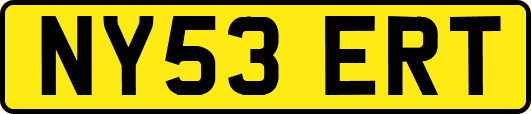 NY53ERT