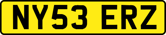NY53ERZ